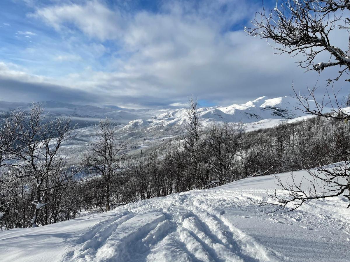 Spacious 2-bedroom - Veslehorn 14 Hemsedal